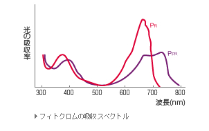 主营fa自动化、胶粘材料、油脂材料、机械设备、精密仪器、物流搬运，工具等产品